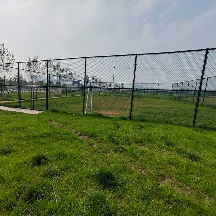 铜川市护栏网 篮球足球场护栏网 包塑勾花网围栏